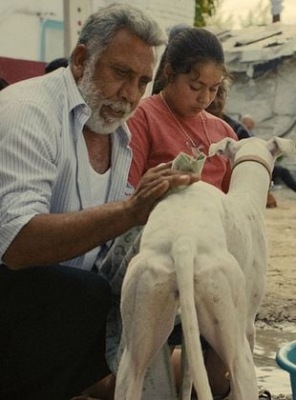 Ciudad Sin Sueño
